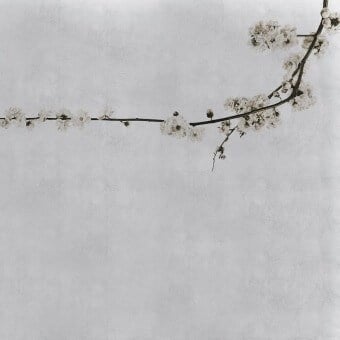 Papier peint panoramique Blossom Branch