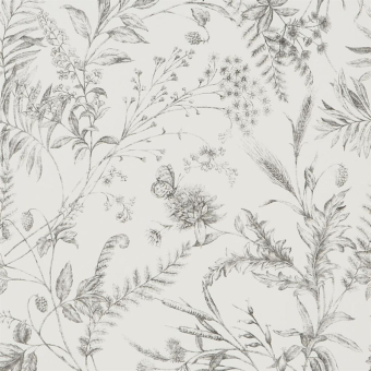 Papier peint Fern Toile