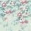 Asterid Panel Little Greene Island Asterid-Island