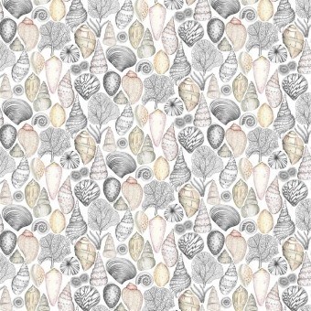 Tela Shell Bay Outdoor