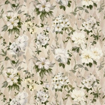 Arlecchino Fabric