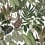Papier peint panoramique Mischievous Monkeys Rebel Walls Verdant R14591