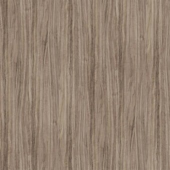 Olivier Africain Wallcovering