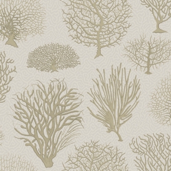 Seafern Wallpaper Charcoal black Cole and Son