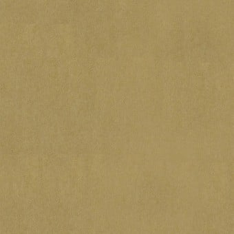 Papier peint Fern