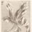 Carta da parati panoramica Tulip Teyler Eijffinger Black/White 358117