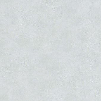 Papier peint Fog - Reunited