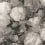 Carta da parati Flowers di Heem - Masterpiece Eijffinger White 358001