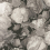Papel pintado Flowers de Heem Eijffinger White 358001