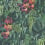 Green Wall Wallpaper Osborne and Little Green W7330-01