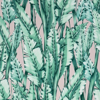 Papel pintado Tiger Leaf
