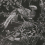 Wandverkleidungbird Silkbird Gravure Dedar Silver D17007_001
