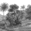 Papeles pintados panorámico Jungle Land Rebel Walls Grey R14612