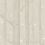 Carta da parati Woods and Stars Cole and Son Grey 103/11048