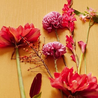 Carta da parati Broadcloth