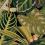 Amazonia Fabric Mindthegap Green/Black FB00005