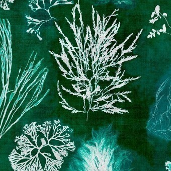 Papeles pintados Algae