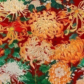 Papier peint panoramique Chrysanthemums Orange Mindthegap