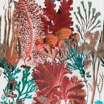 Coral Reef Panel Red Mindthegap