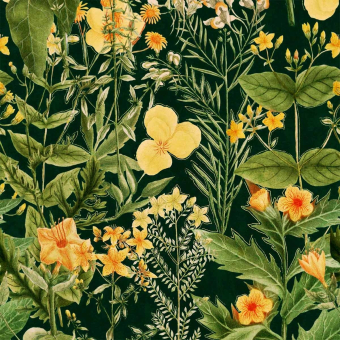 Mimulus Panel