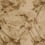 Embroidered silk Butterflies in Freedom Nobilis Beige 8993.86