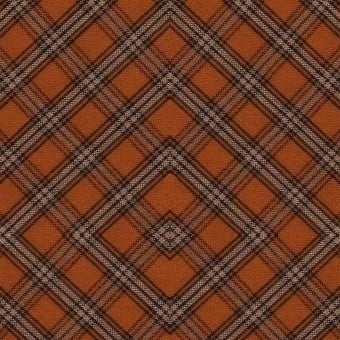 Unusual Tartan Panel