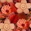 Water Lilies Panel Mindthegap Coral WP20316