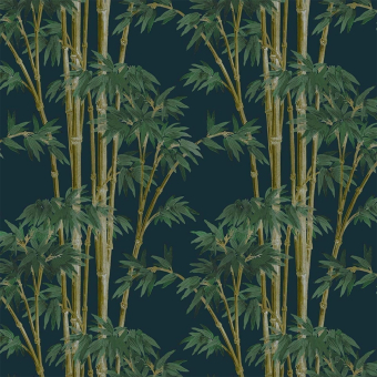Bambusa Velvet