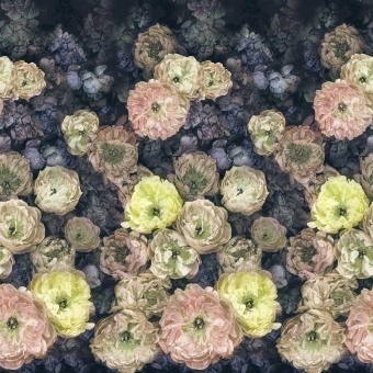 Carta da parati panoramica Le Poeme de Fleurs
