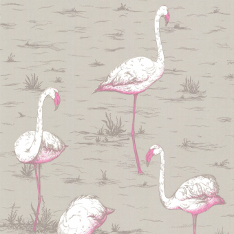 Flamingos Wallpaper Grège Cole and Son