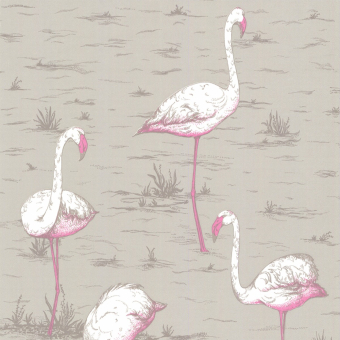 Flamingos Wallpaper