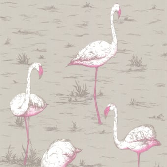 Tapete Flamingos