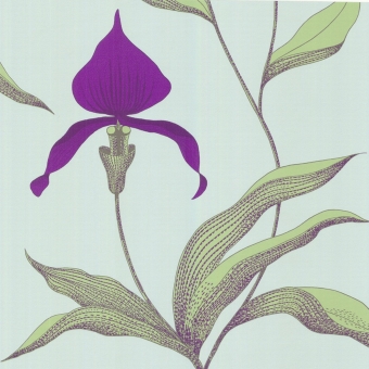 Orchid Wallpaper Améthyste Cole and Son
