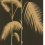 Papier peint Palm Leaves Cole and Son Noir/Or 66/2014