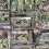 Carta da parati panoramica Arty Show Casamance Vert 77230448