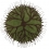 Tapis Roots par Matali Crasset Nodus Green roots