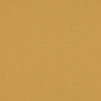 Arizona Fabric