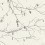 Tapete Winter Branches York Wallcoverings Off white NR1524
