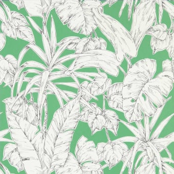 Parlour Palm Wallpaper