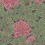 Aurora Wallpaper Cole and Son Rose/Forest 116/1002