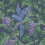 Papier peint Woodvale Orchard Cole and Son Purple/Forest 116/5019