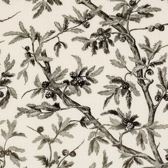 Branches de Pin Fabric