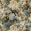 Floral Pompadour Velvet Mulberry Sage FD315.S108