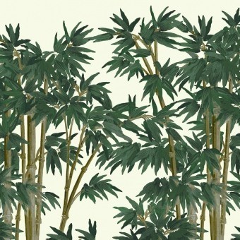 Papeles pintados Bambusa