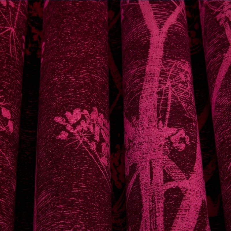 Samt Cow Parsley Cole and Son