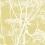 Cow Parsley Fabric Cole and Son White & Chartreuse F111/5020