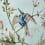 Tissu Hummingbirds Cole and Son Duck egg F62/1004