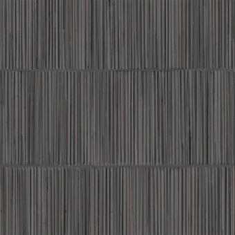 Carta da parati Palm Leaf Wall