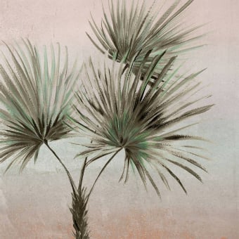 Carta da parati panoramica Agave - Terra