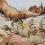 Papier peint panoramique Oasis Eijffinger Multicolore 391565